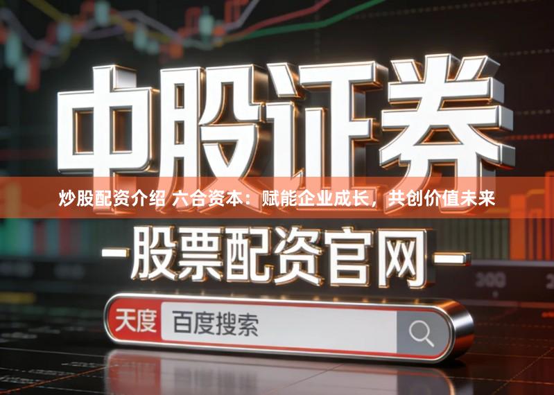 炒股配资介绍 六合资本：赋能企业成长，共创价值未来