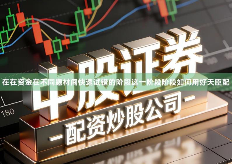 在在资金在不同题材间快速试错的阶段这一阶段阶段如何用好天臣配