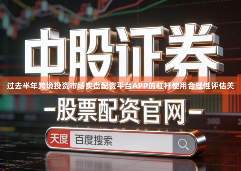 过去半年跨境投资市场实盘配资平台APP的杠杆使用合理性评估关