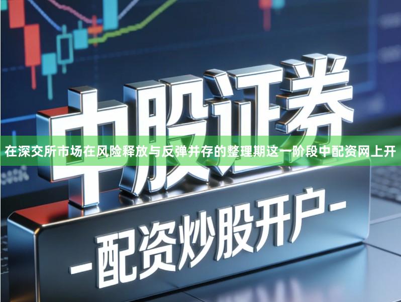 在深交所市场在风险释放与反弹并存的整理期这一阶段中配资网上开