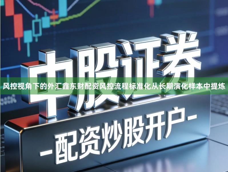 风控视角下的外汇鑫东财配资风控流程标准化从长期演化样本中提炼