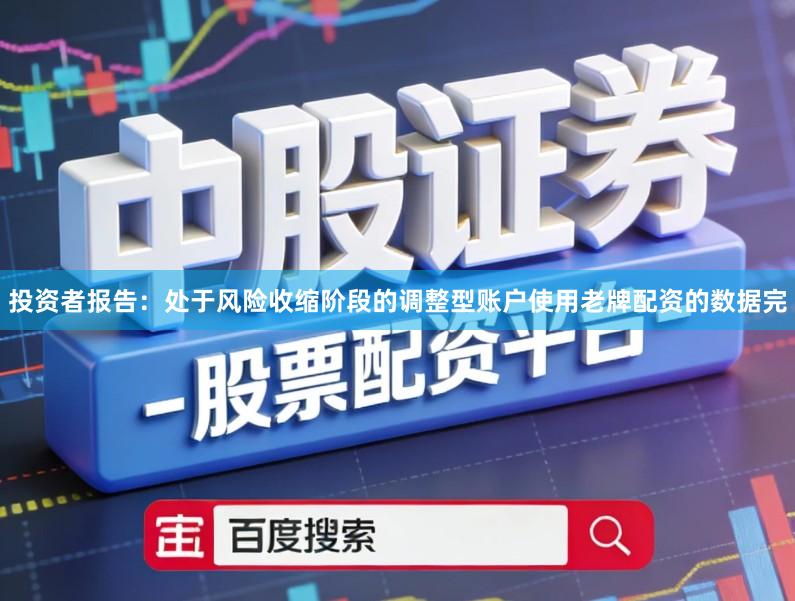 投资者报告：处于风险收缩阶段的调整型账户使用老牌配资的数据完