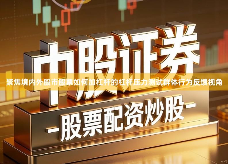 聚焦境内外股市股票如何加杠杆的杠杆压力测试群体行为反馈视角